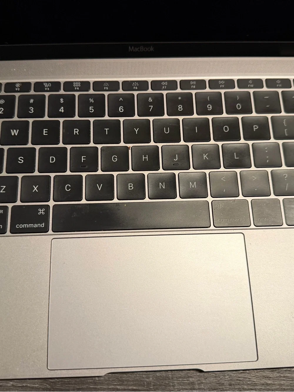 Apple questions leave